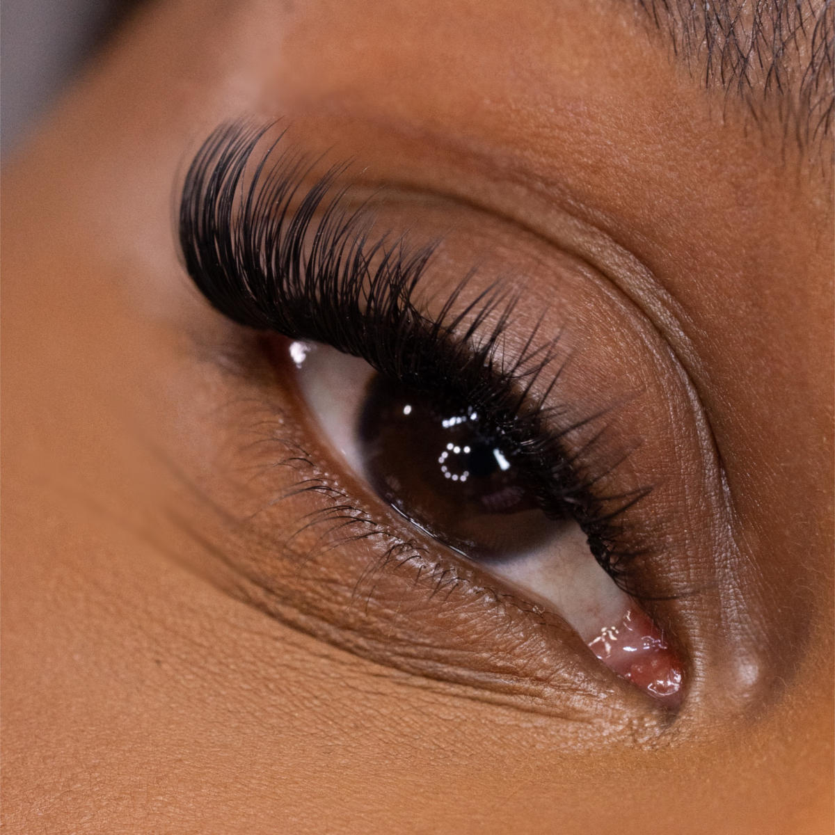 model wearing diy lash extension set called moderate cat eye